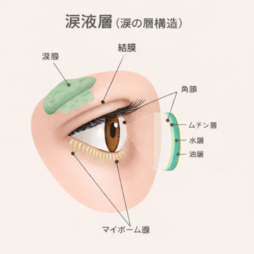 ドライアイ度チェック