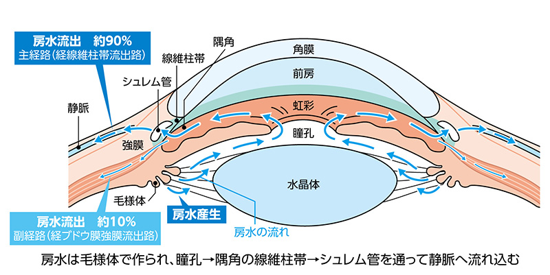 写真:隅角と眼圧について